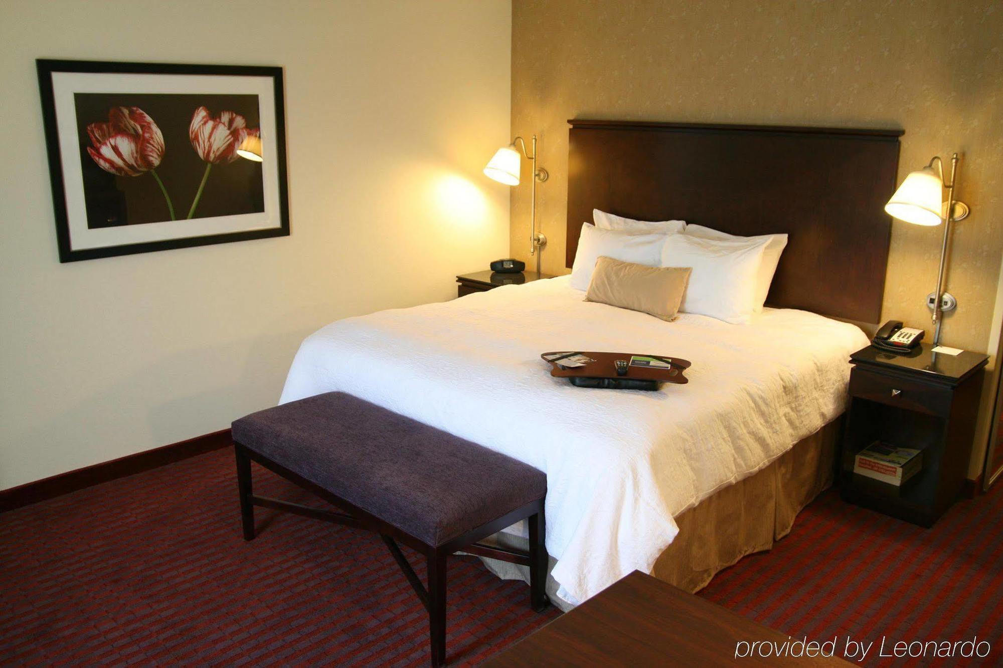 Hampton Inn Richmond - Airport Сандстон Номер фото